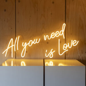 Neon tekst in houder : All you need is love